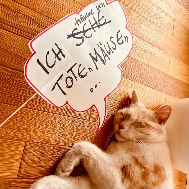 Spielfilmen #36: M. Night Shyamalan 2016-2021 (Split, 2016; Glass, 2019; Old, 2021)