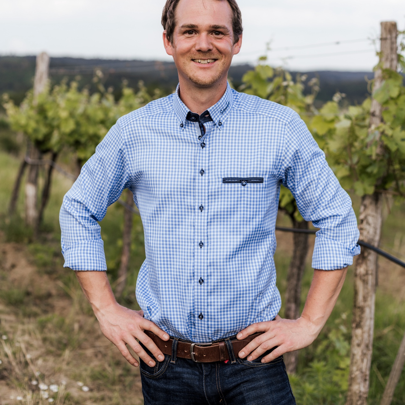 Domgeschichten: Alexander Schweiger