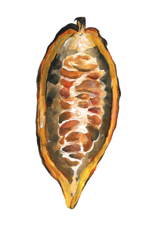 05_Proteine - nur für den Muskel?