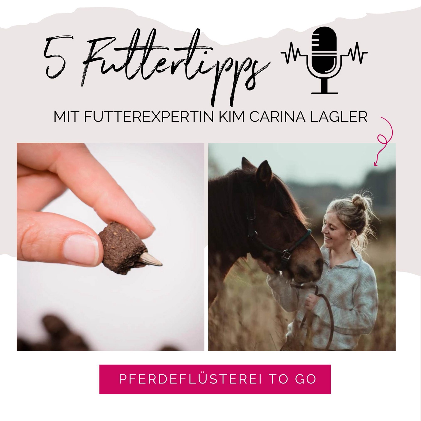 Die 5 besten Tipps zur Pferdefütterung
