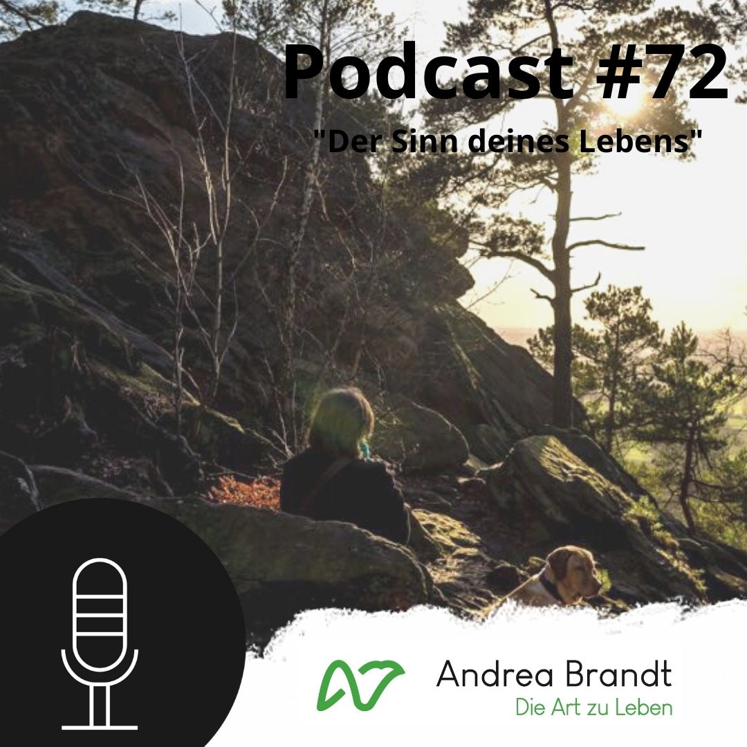 #72 Der Sinn deines Lebens