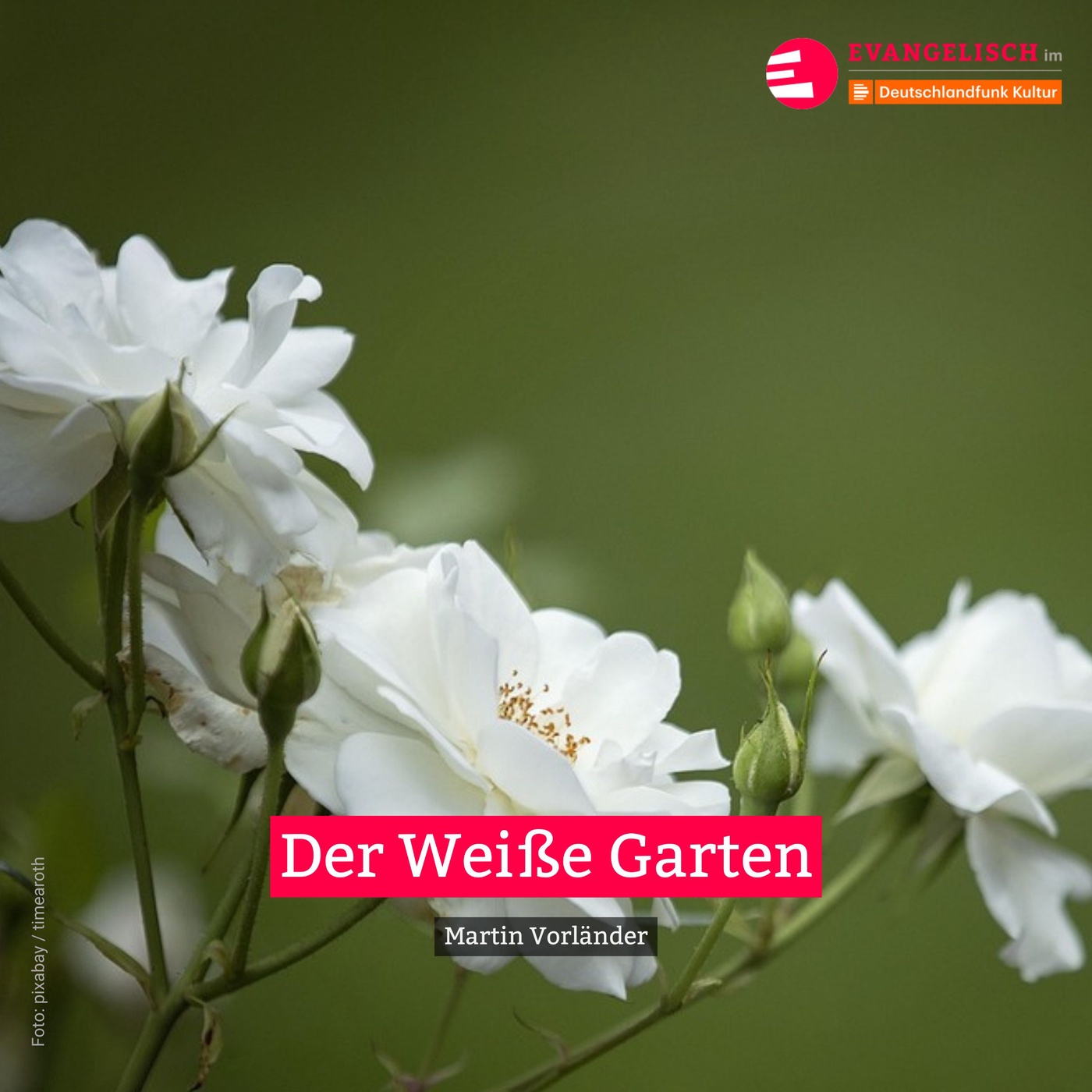 Der Weiße Garten