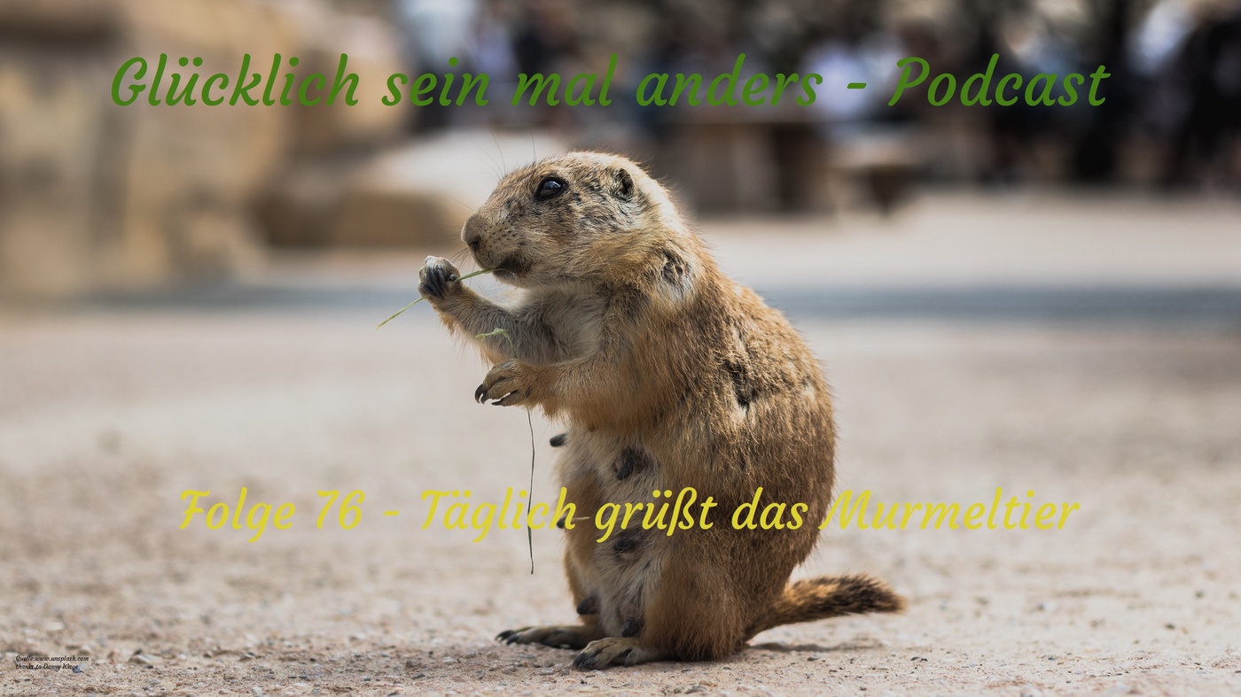 Folge 76 - Täglich grüßt das Murmeltier