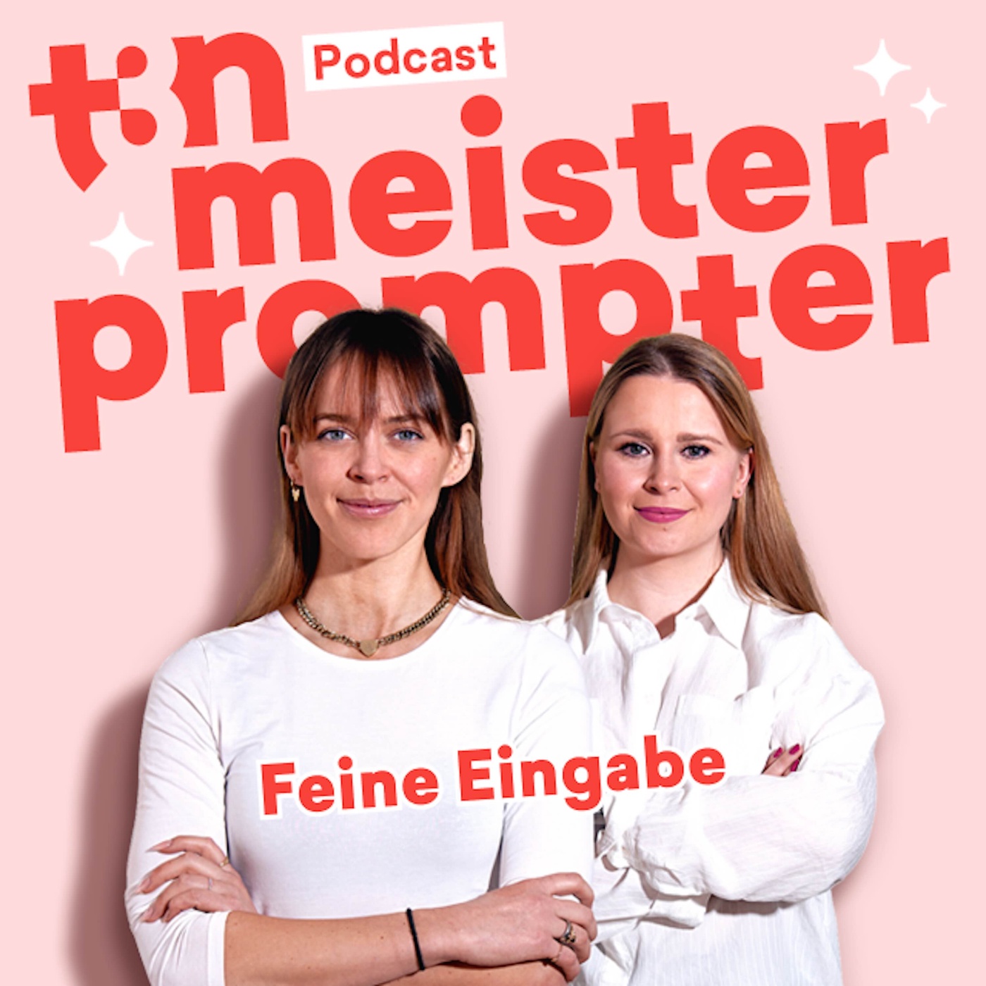 Feine Eingabe