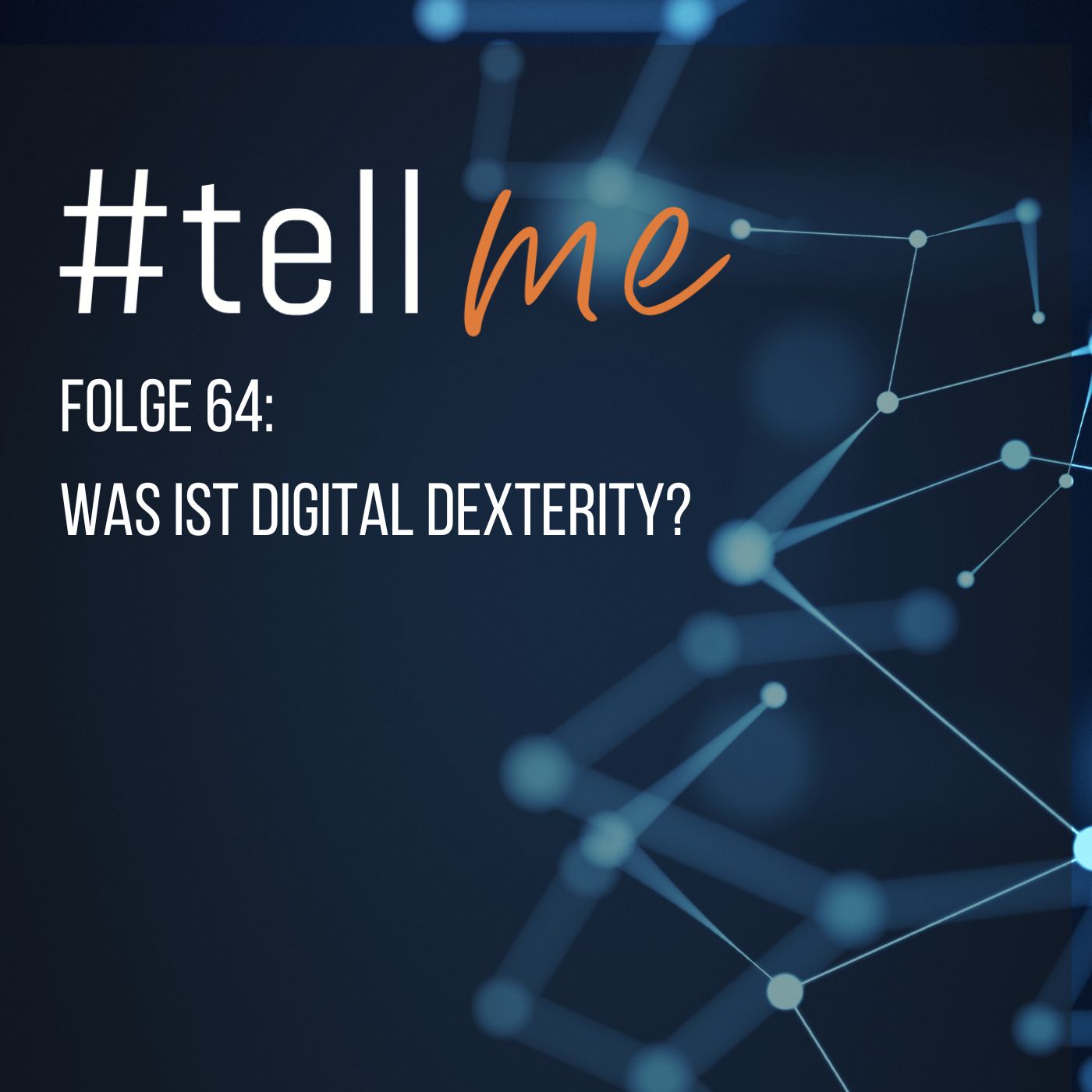 64_Was ist Digital Dexterity?