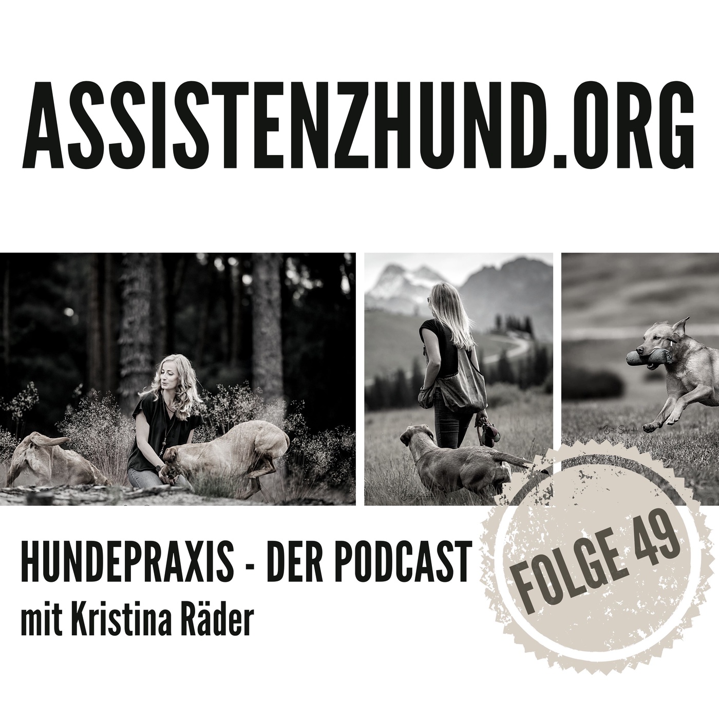 Assistenzhunde: wenn das Leben wieder aufblüht - Angelika Evans