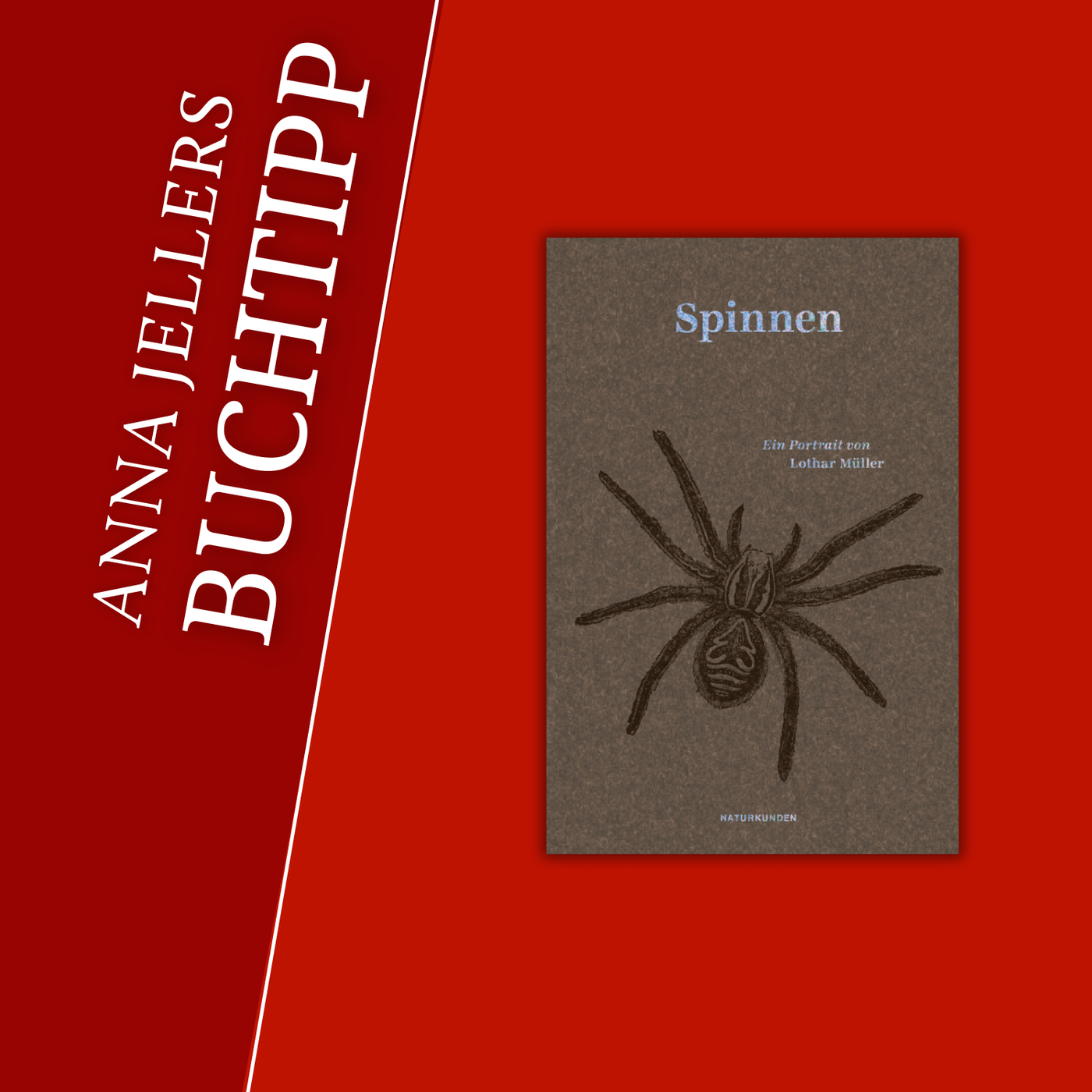 Anna Jellers Buchtipp | Lothar Müller: Spinnen