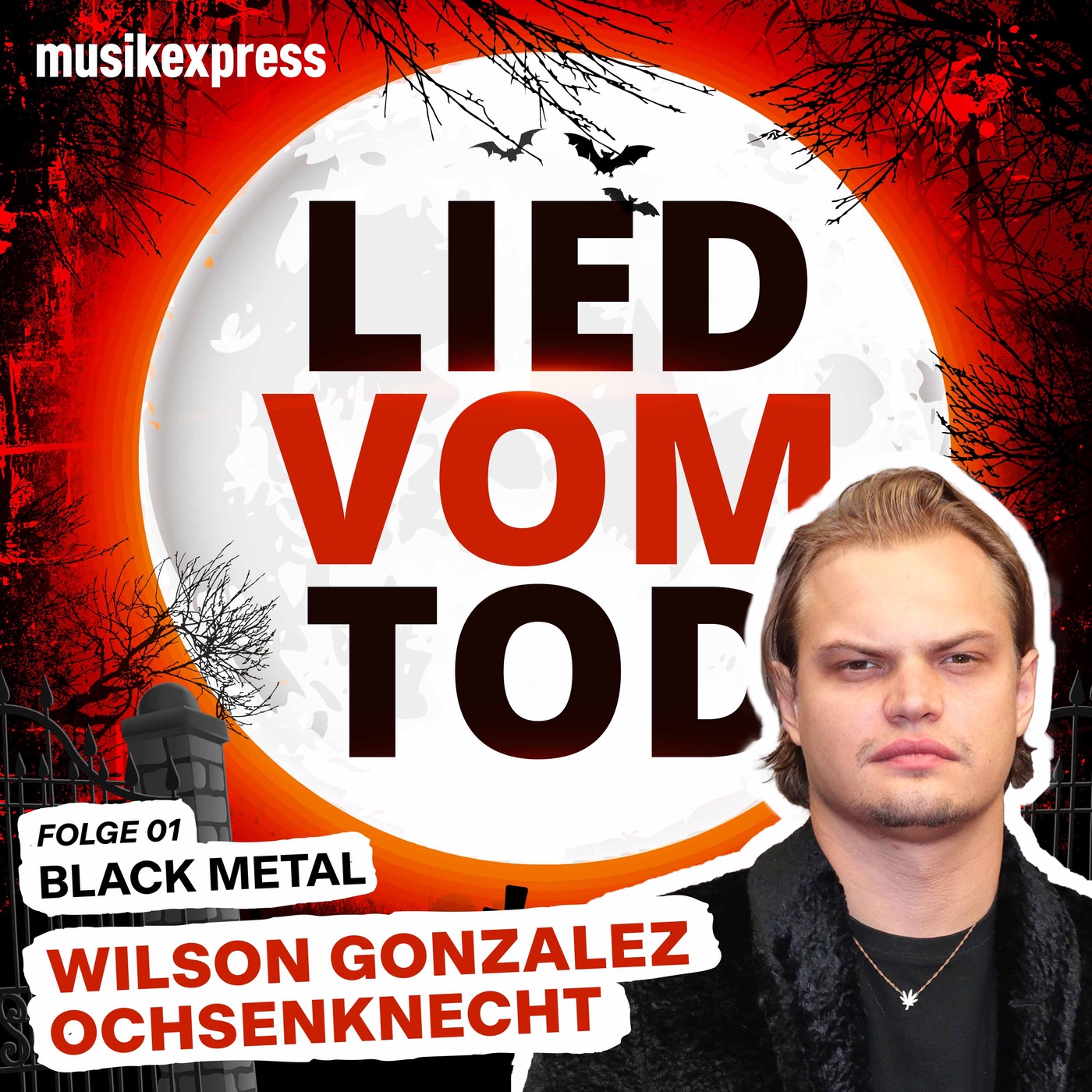 Folge 1: Wilson Gonzalez Ochsenknecht über Black Metal