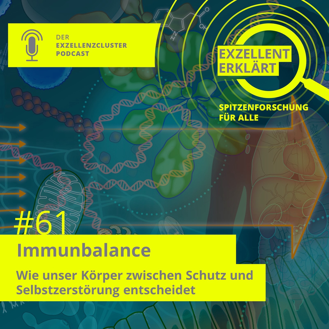 Immunbalance: Wie unser Körper zwischen Schutz und Selbstzerstörung entscheidet
