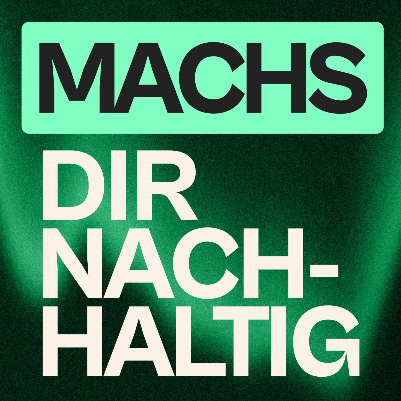 Nachhaltiges Branding: Der wichtigste Marken-Trend für 2026 (und kaum jemand weiß es)
