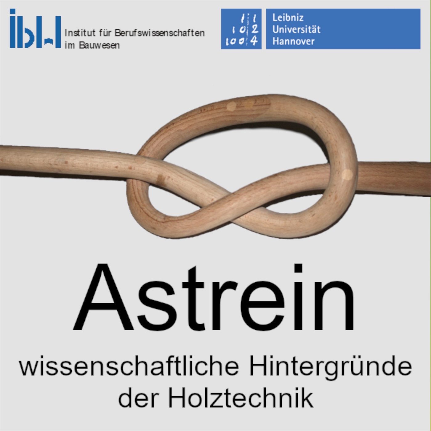 Astrein - wissenschaftliche Hintergründe der Holztechnik