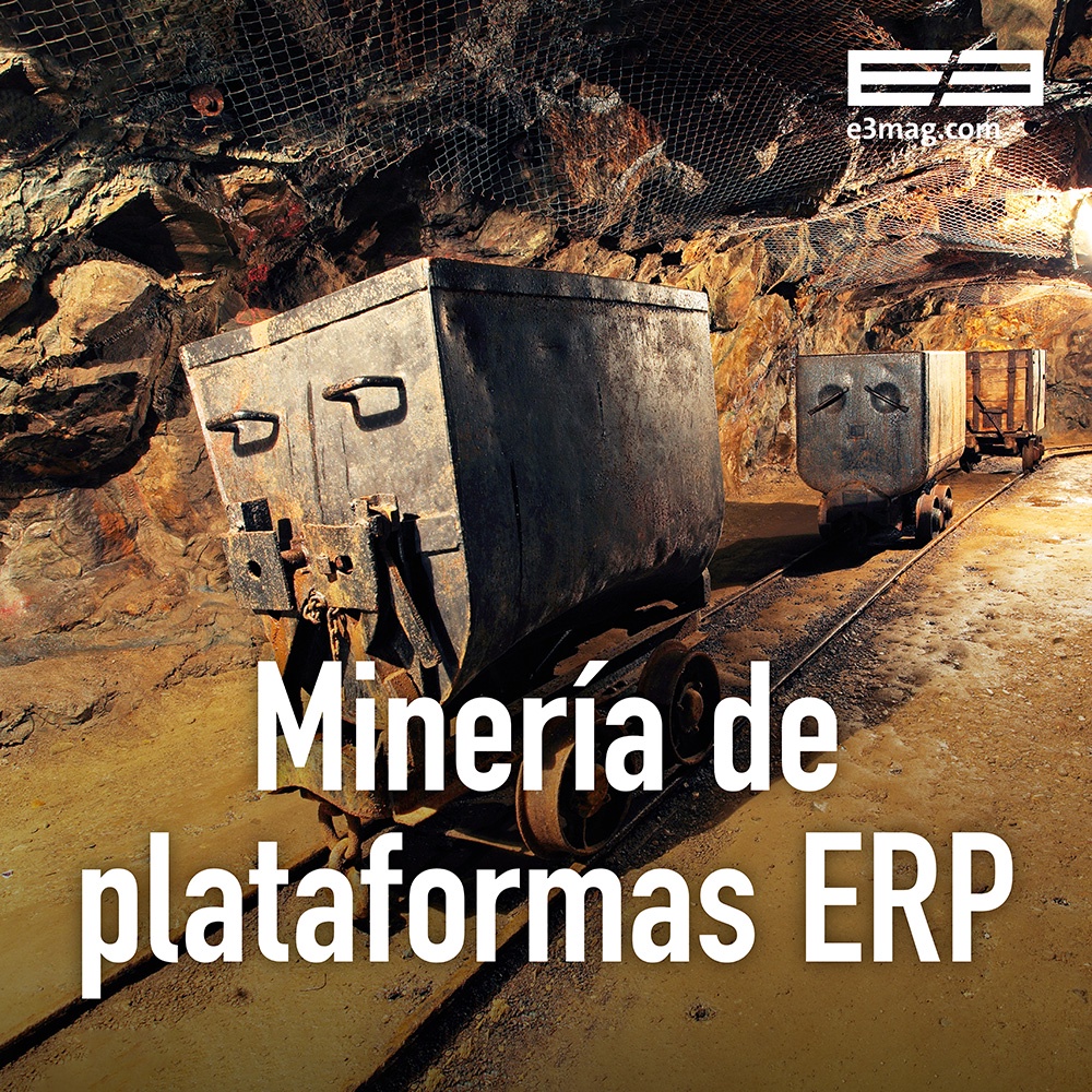 Plataforma ERP Minería