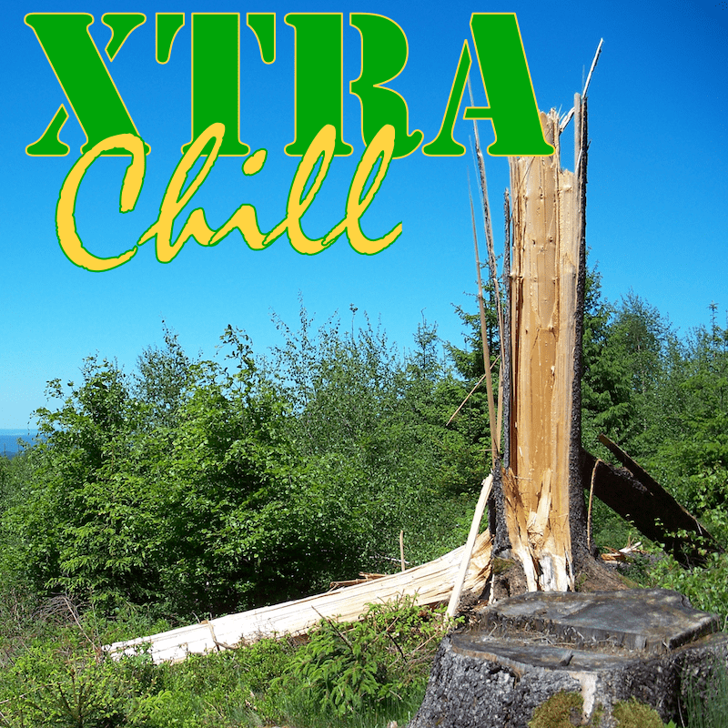 XtraChill 256