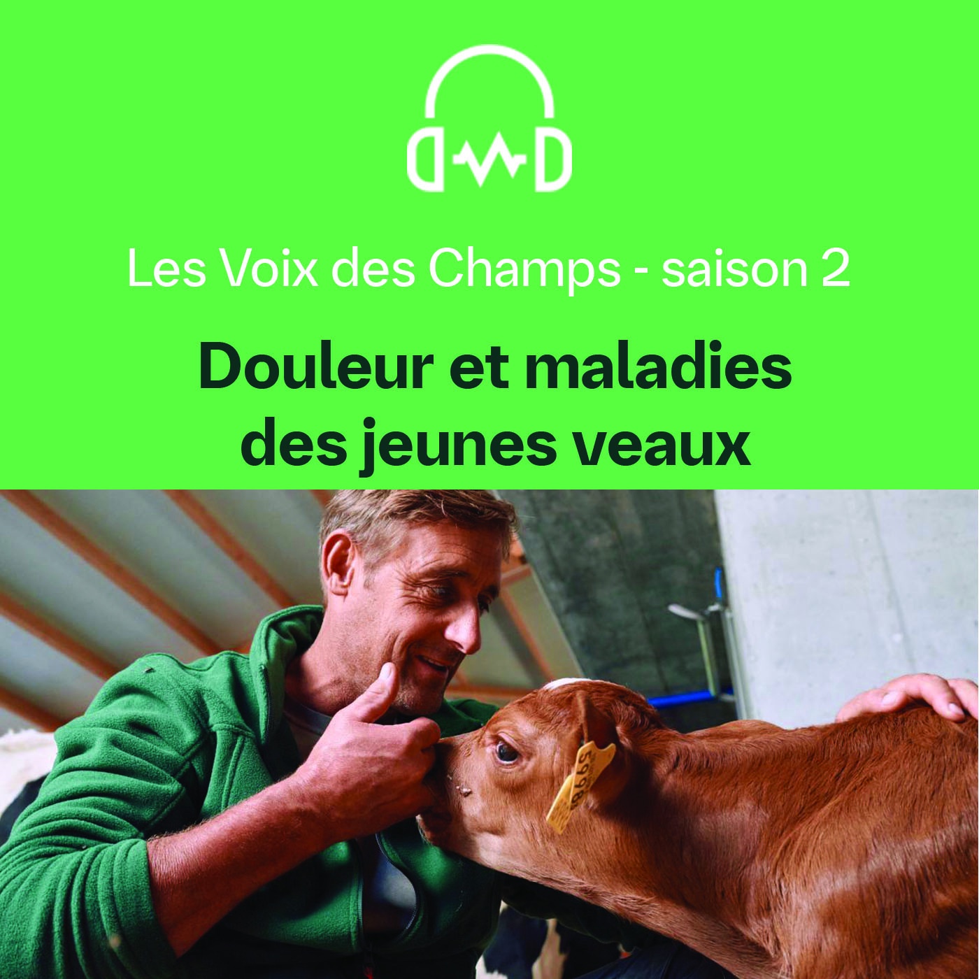 Les Voix Des Champs - S02 - E12 : Douleur et maladies des jeunes veaux
