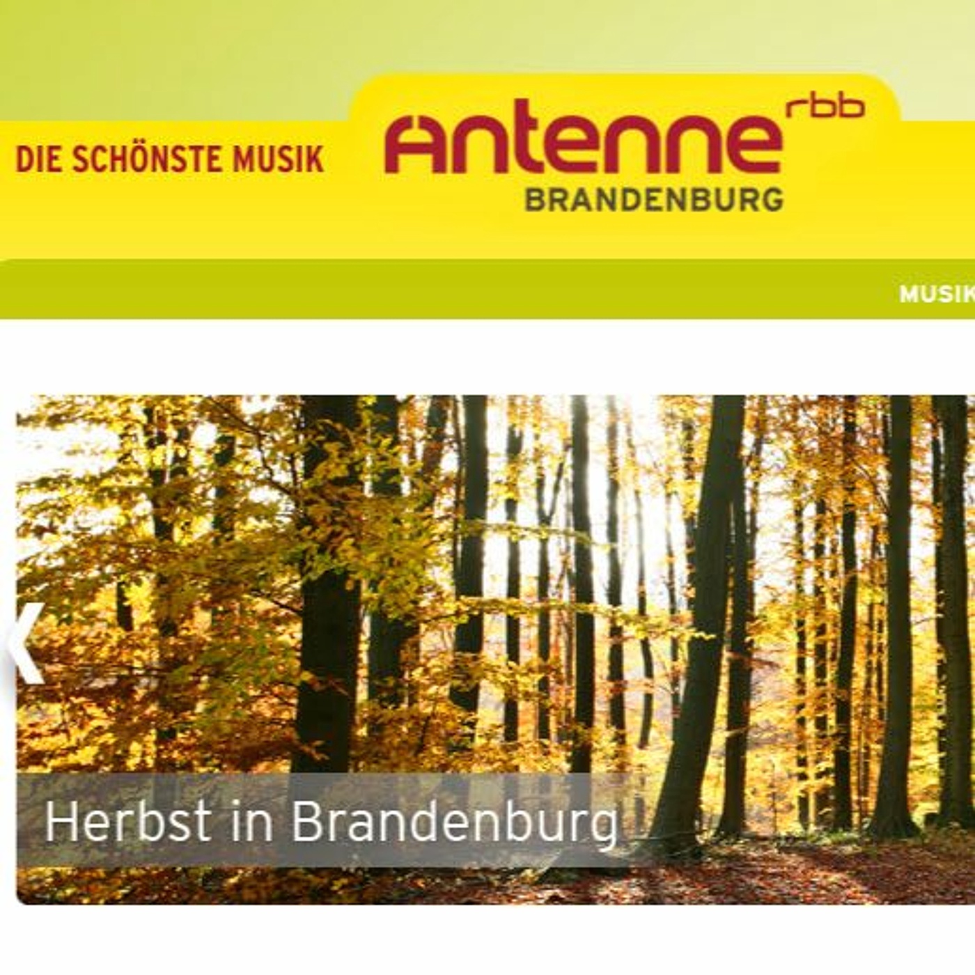 #010 | Der Patchworkfamilien-Kongress bei Antenne Brandenburg