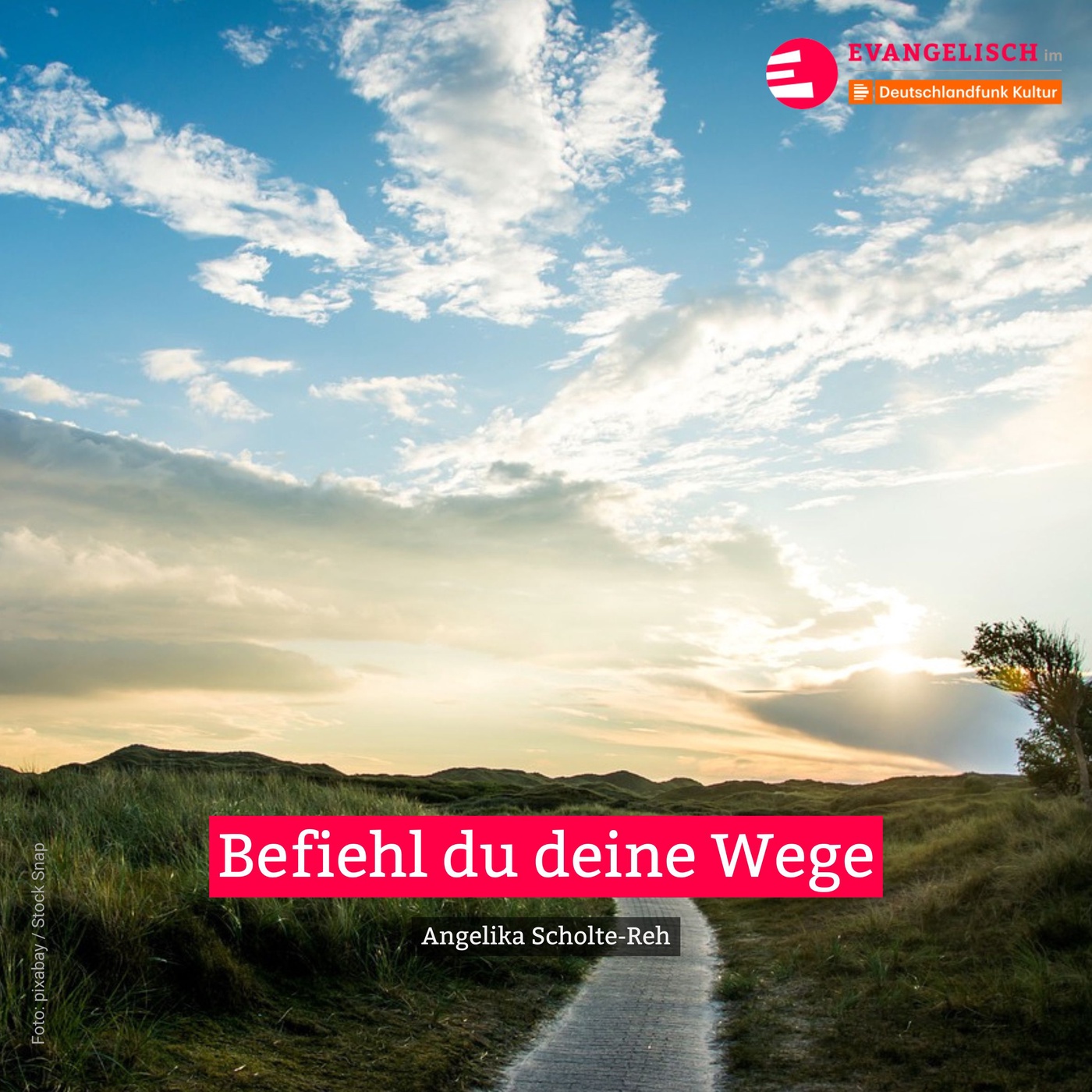 Befiehl du deine Wege