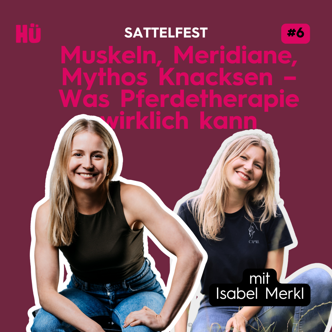 Muskeln, Meridiane, Mythos Knacksen - Was ganzheitliche Pferdetherapie wirklich kann