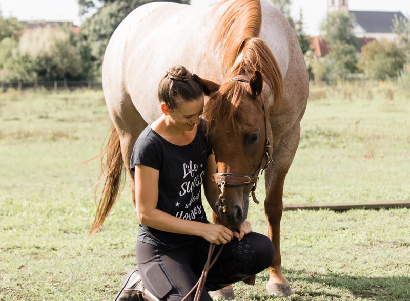 Wie du mit dem richtigen Mindset unglaublich viel im Pferdetraining erreichen kannst