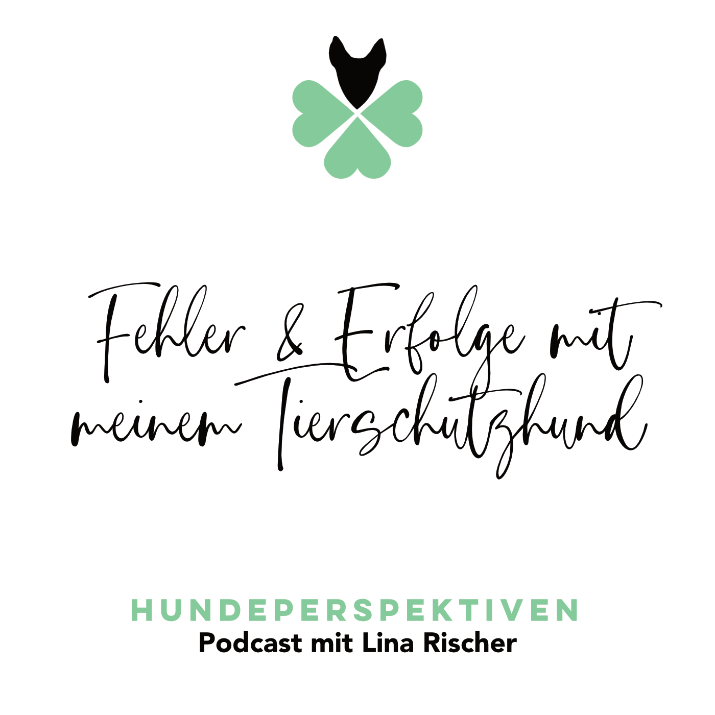 #015 | Erfolge & Fehler in der Anfangszeit mit meinem Tierschutzhund