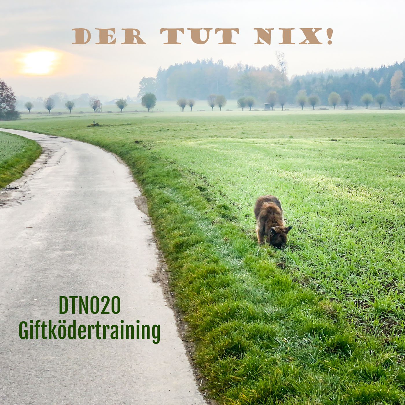 DTN020 - Giftködertraining