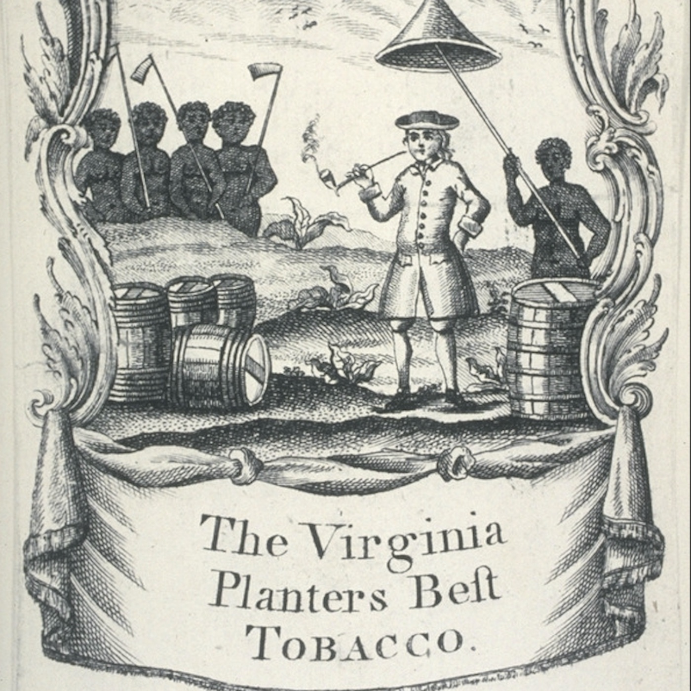 Plantation Economies and Slavery in the Declaration of Independence