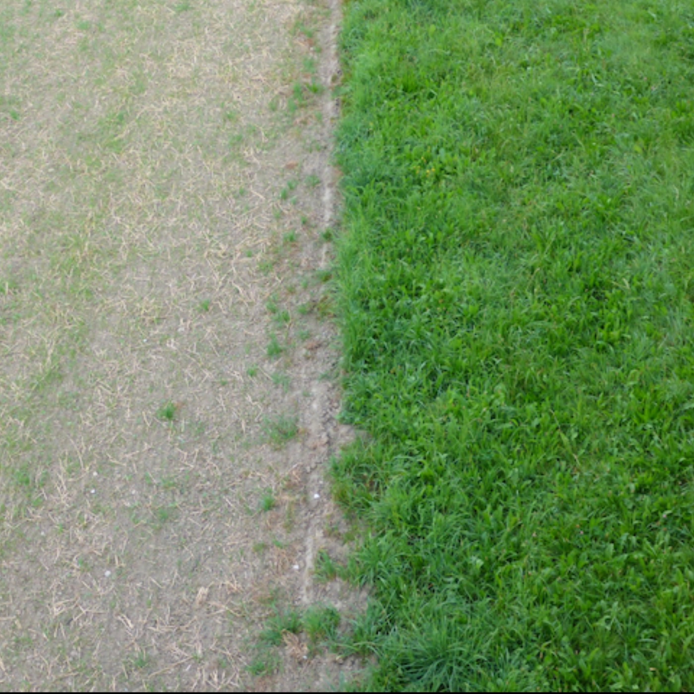 Mediation in der Führung