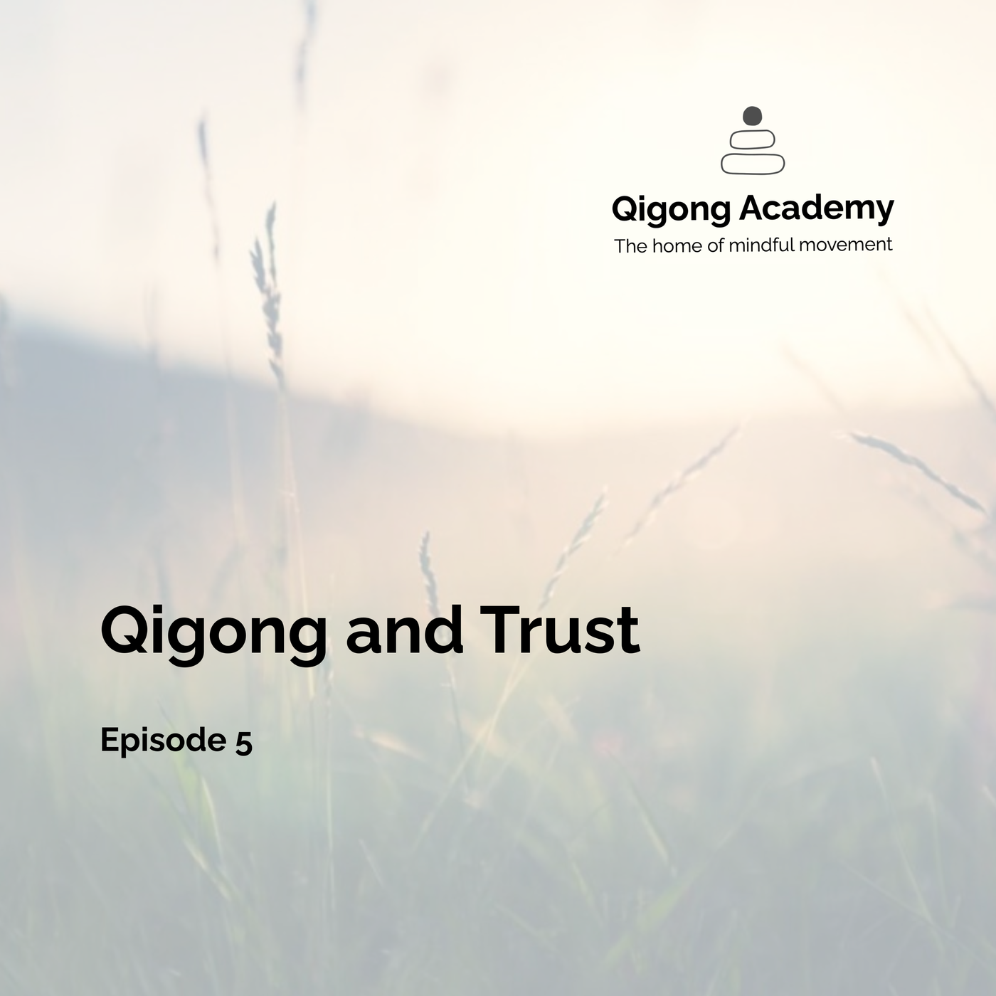 Episode 5 - Trusting Qigong: Beyond Blind Faith