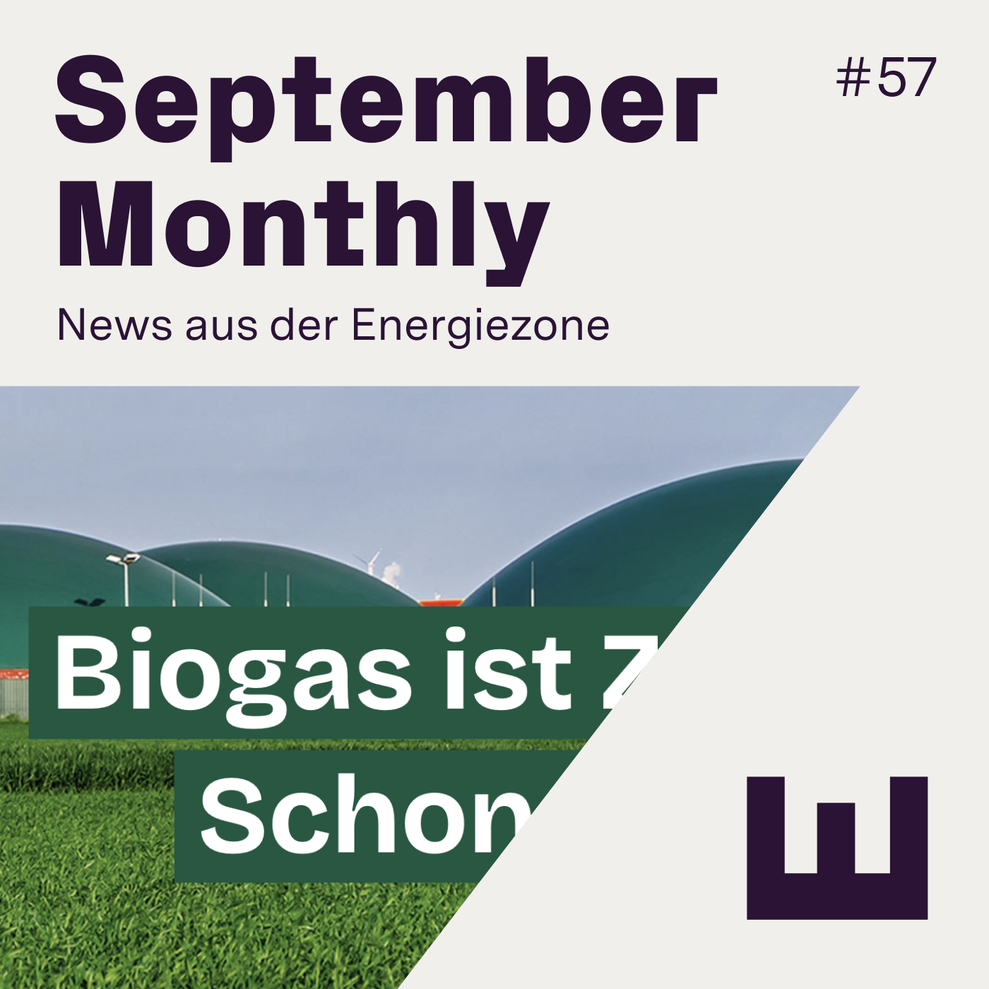 E#57 - Netzdienlichkeit ist viel komplexer als es mancher zugibt