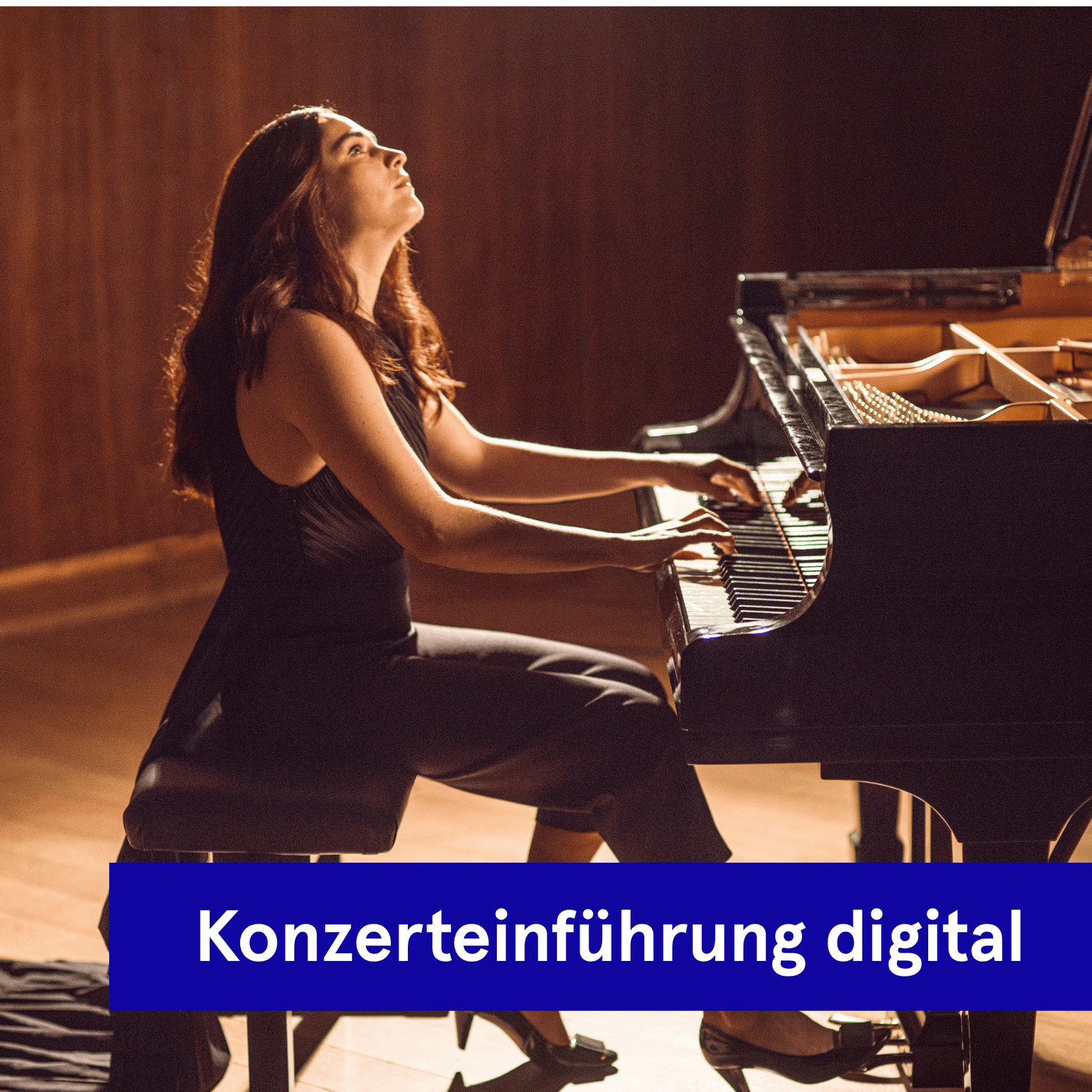 Digitale Konzerteinführung | Brahms 3