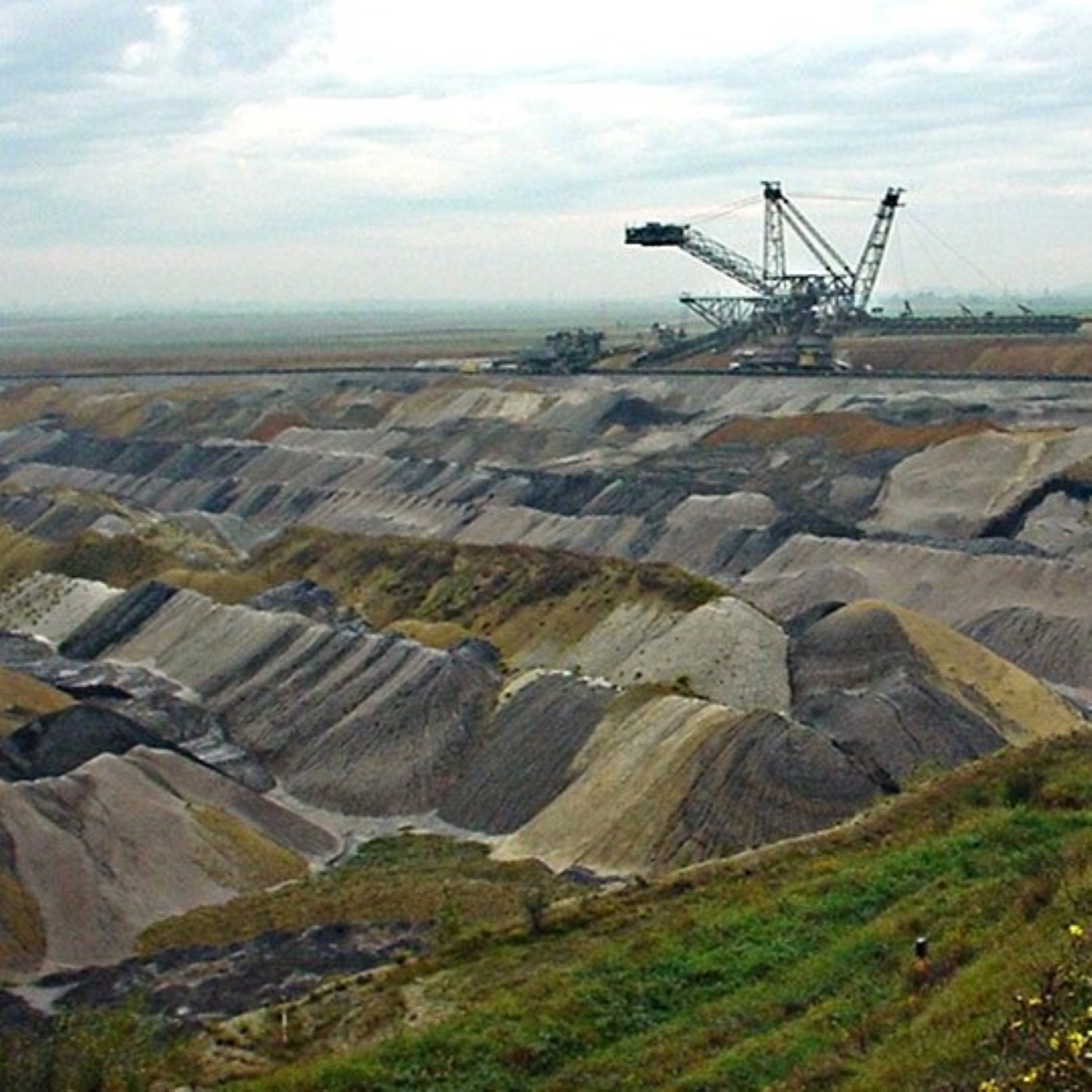 Y-155: Reviervertrag 2.0 (2023)