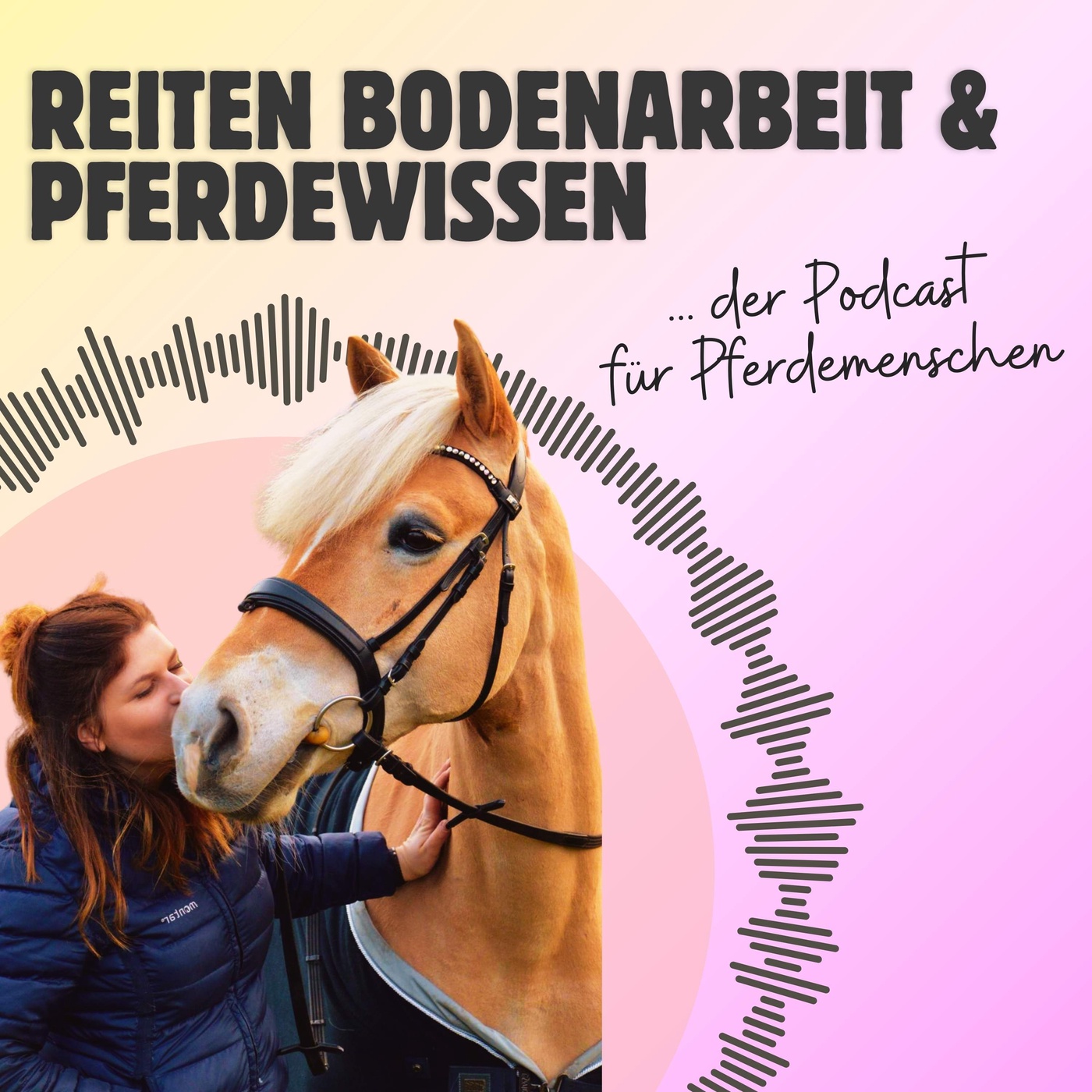 Reiten, Bodenarbeit und Pferdewissen by ProPferd Hamburg