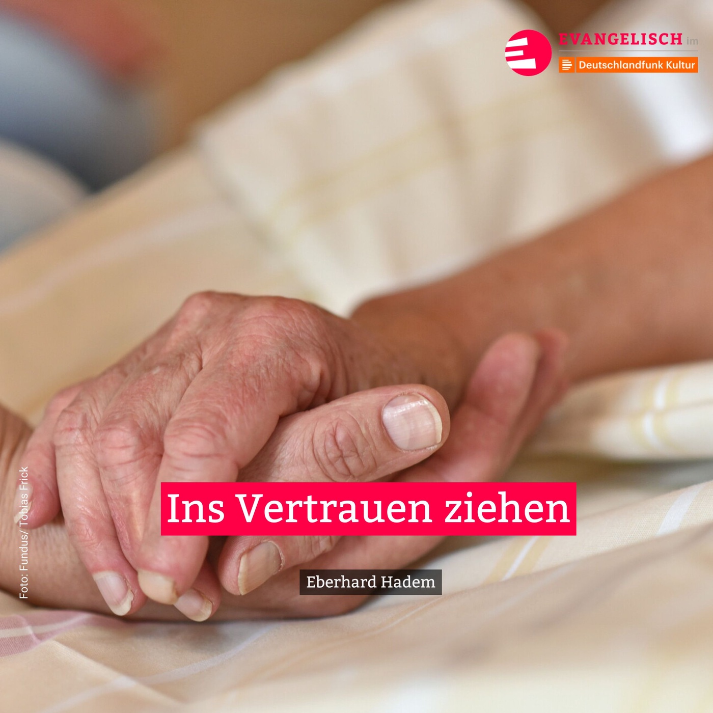Ins Vertrauen ziehen