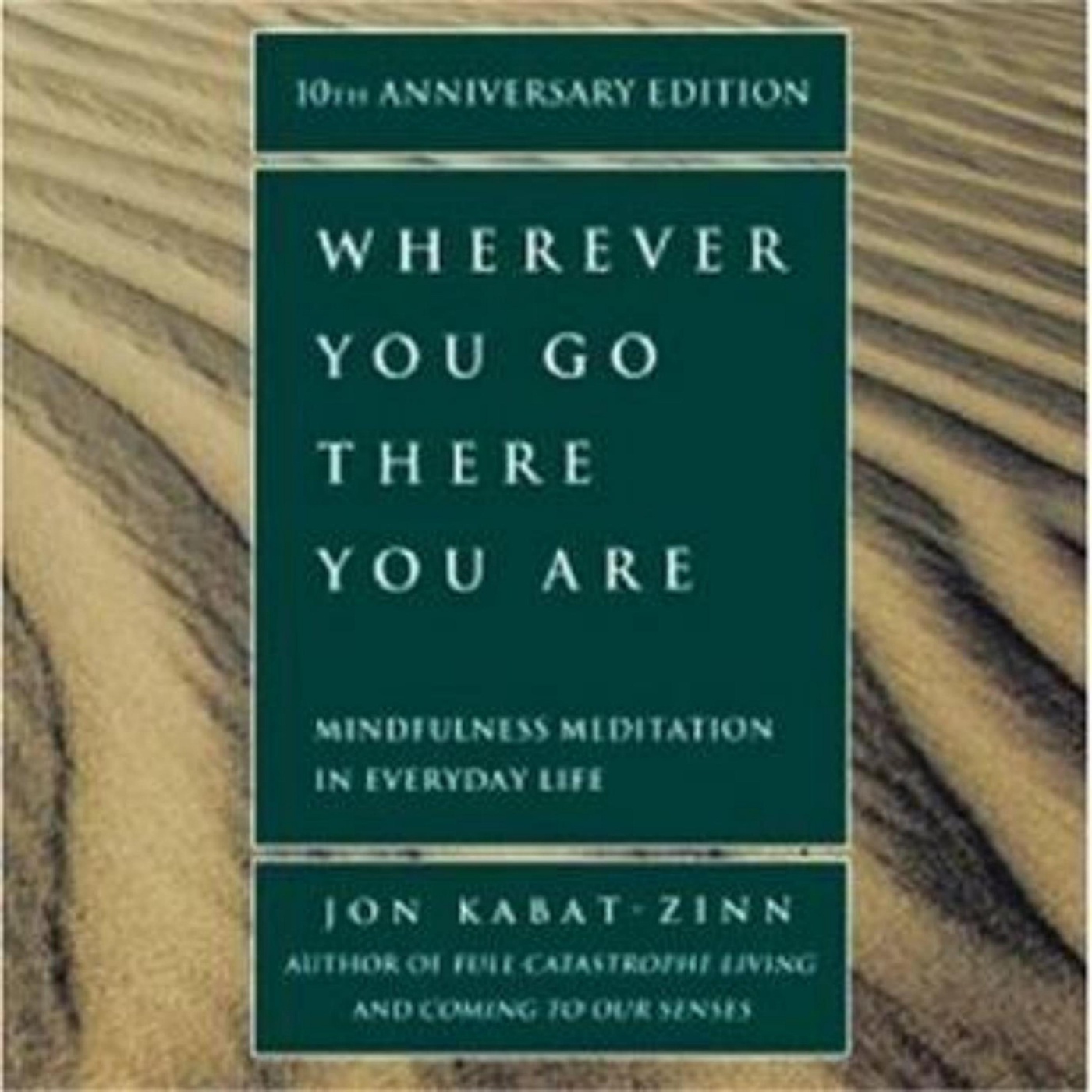 Finding Yourself: A Journey Through Mindfulness with Jon Kabat-Zinn