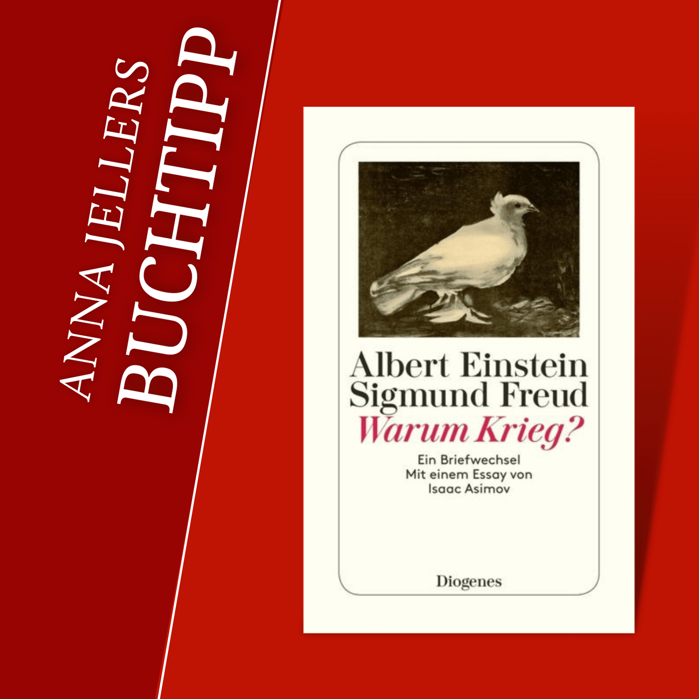 Anna Jellers Buchtipp | Albert Einstein, Sigmund Freud: Warum Krieg?