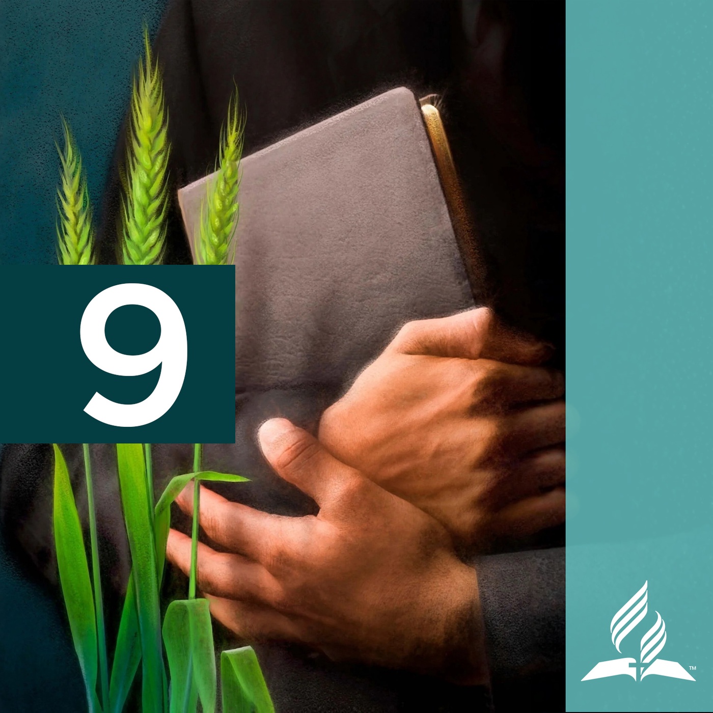 Q2 - E9. „Sünde, das Evangelium und das Gesetz“ -  Im Glauben Wachsen