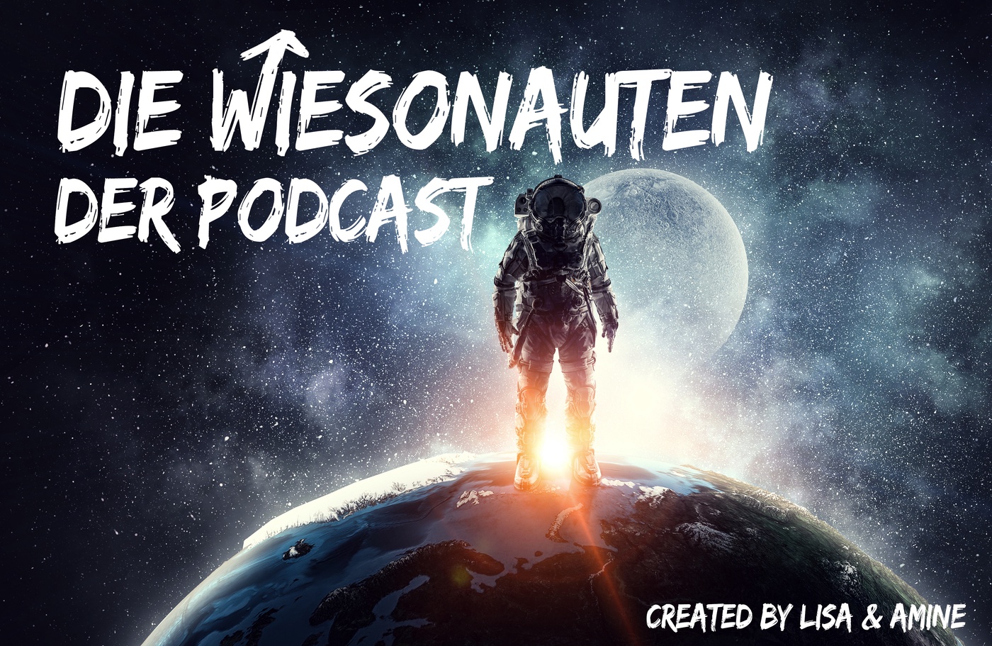 Die Wiesonauten - Mit Finanzieller Intelligenz zu deinen Wünschen und Zielen.