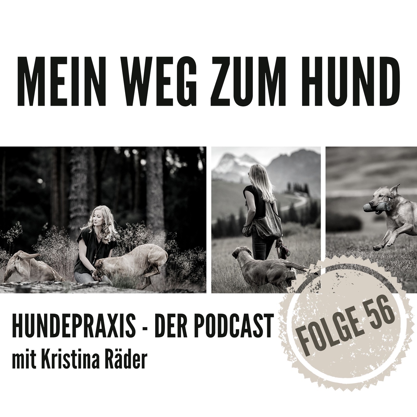 Mein Weg zum Thema Hund