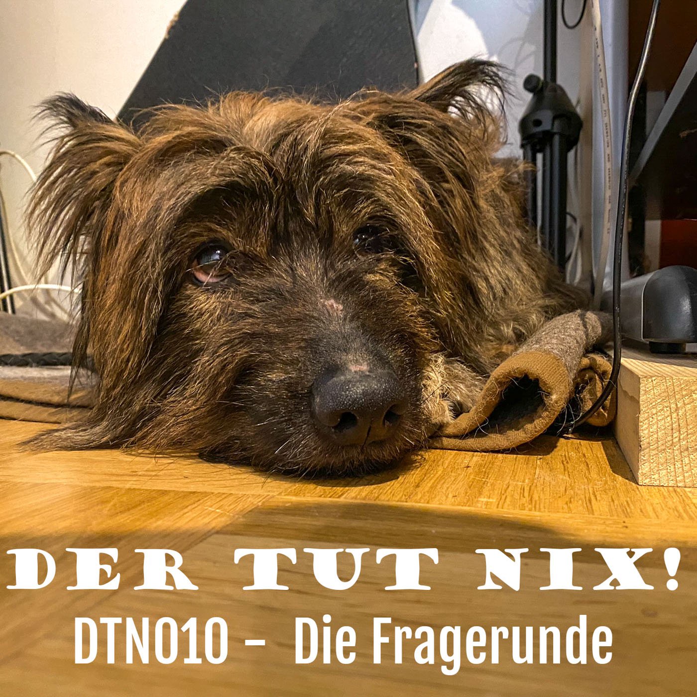 DTN010 - Die Fragerunde