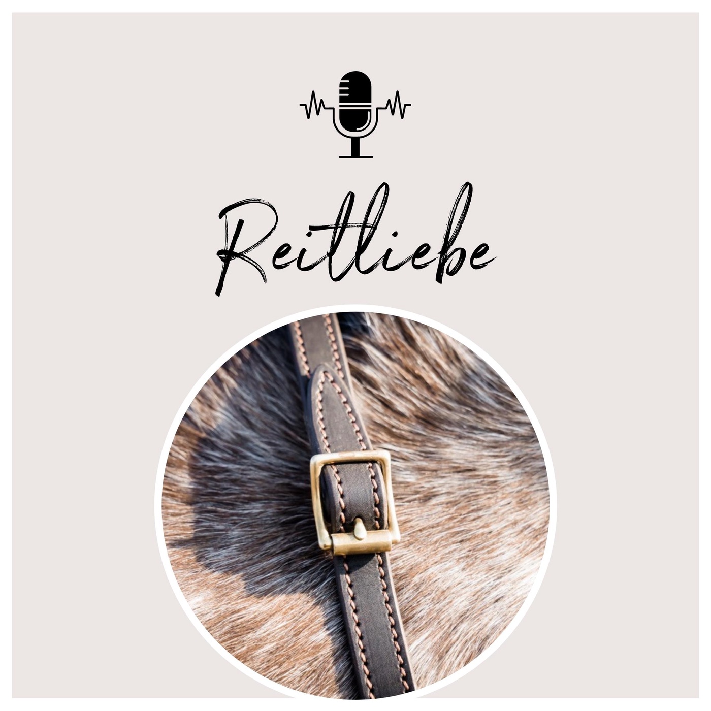 Die 5 größten Reiterfehler und wie du sie loswirst