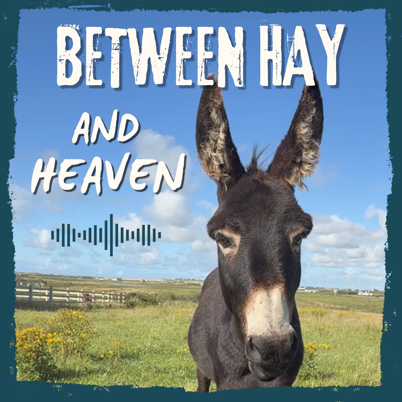 Between Hay and Heaven