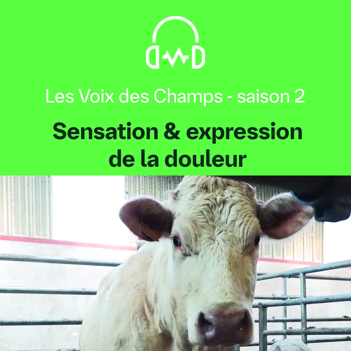 LesVoix DesChamps - S02 - E05 : Sensation et expression de la douleur