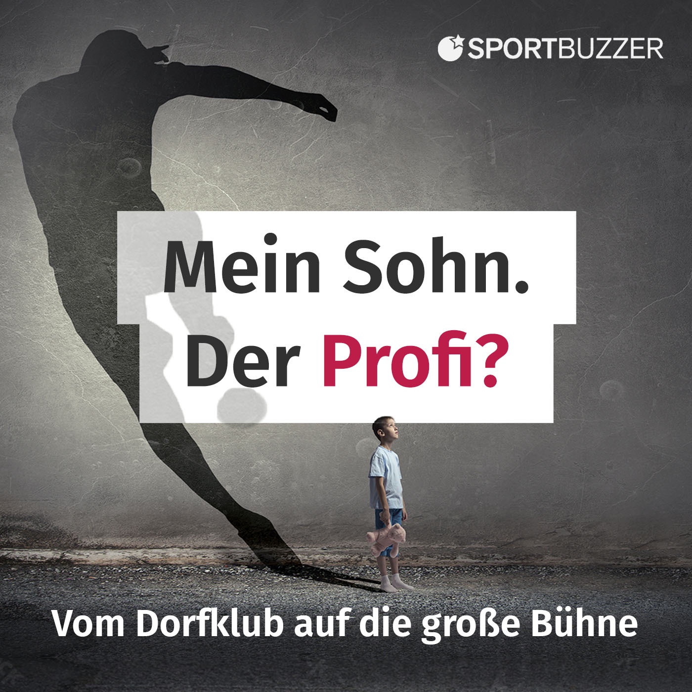 Der Jugendtrainer. Mehr Spielen als Träumen