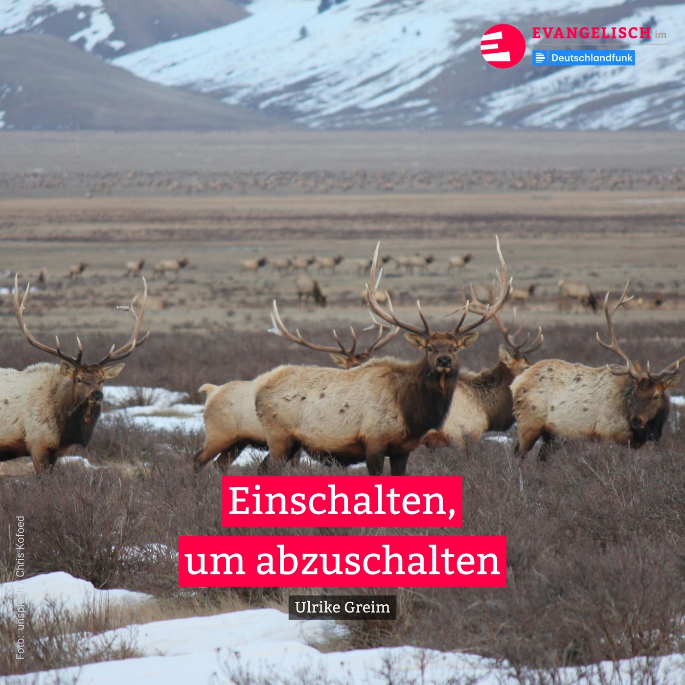 Einschalten, um abzuschalten