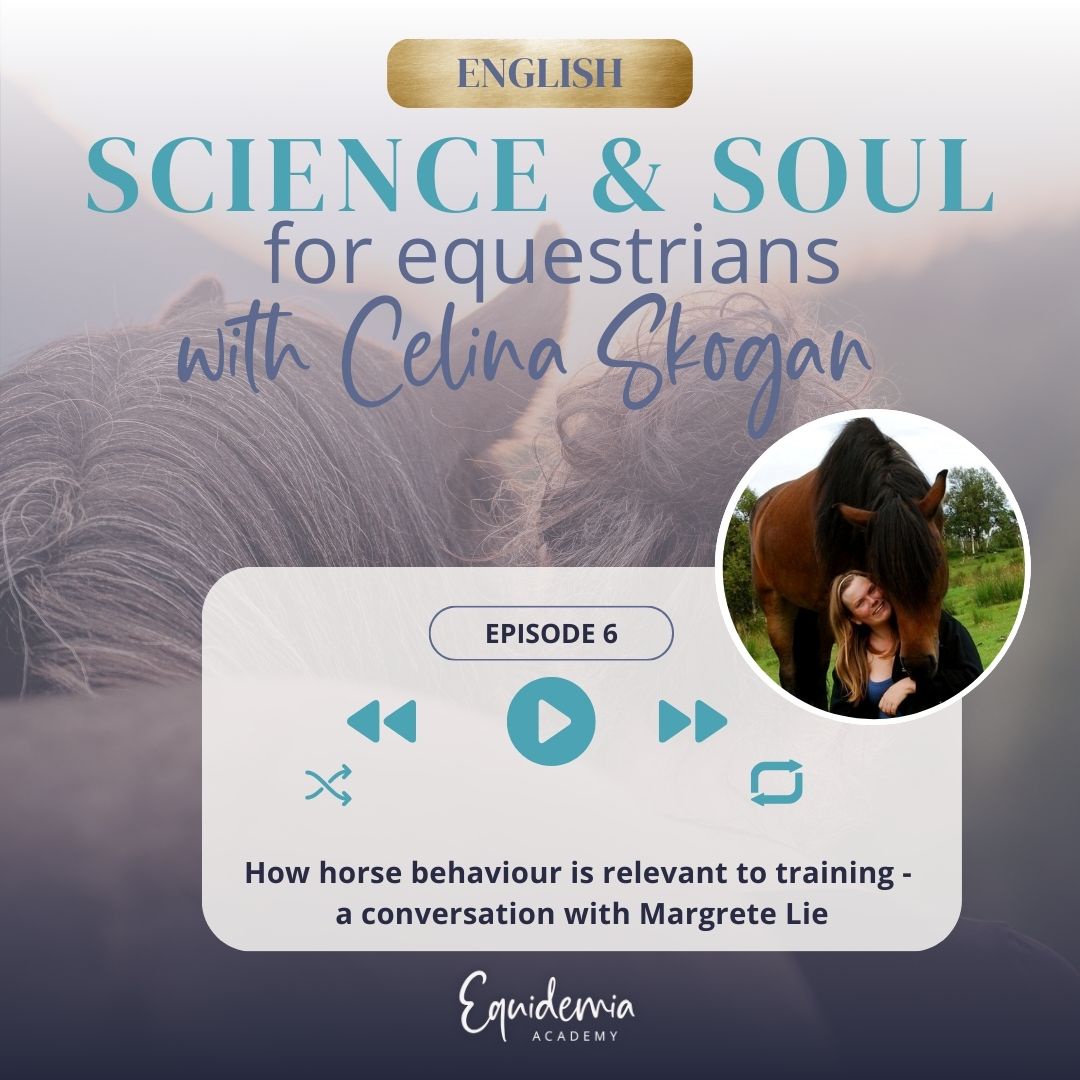 How horse behaviour is relevant to training - a conversation with Margrete Lie