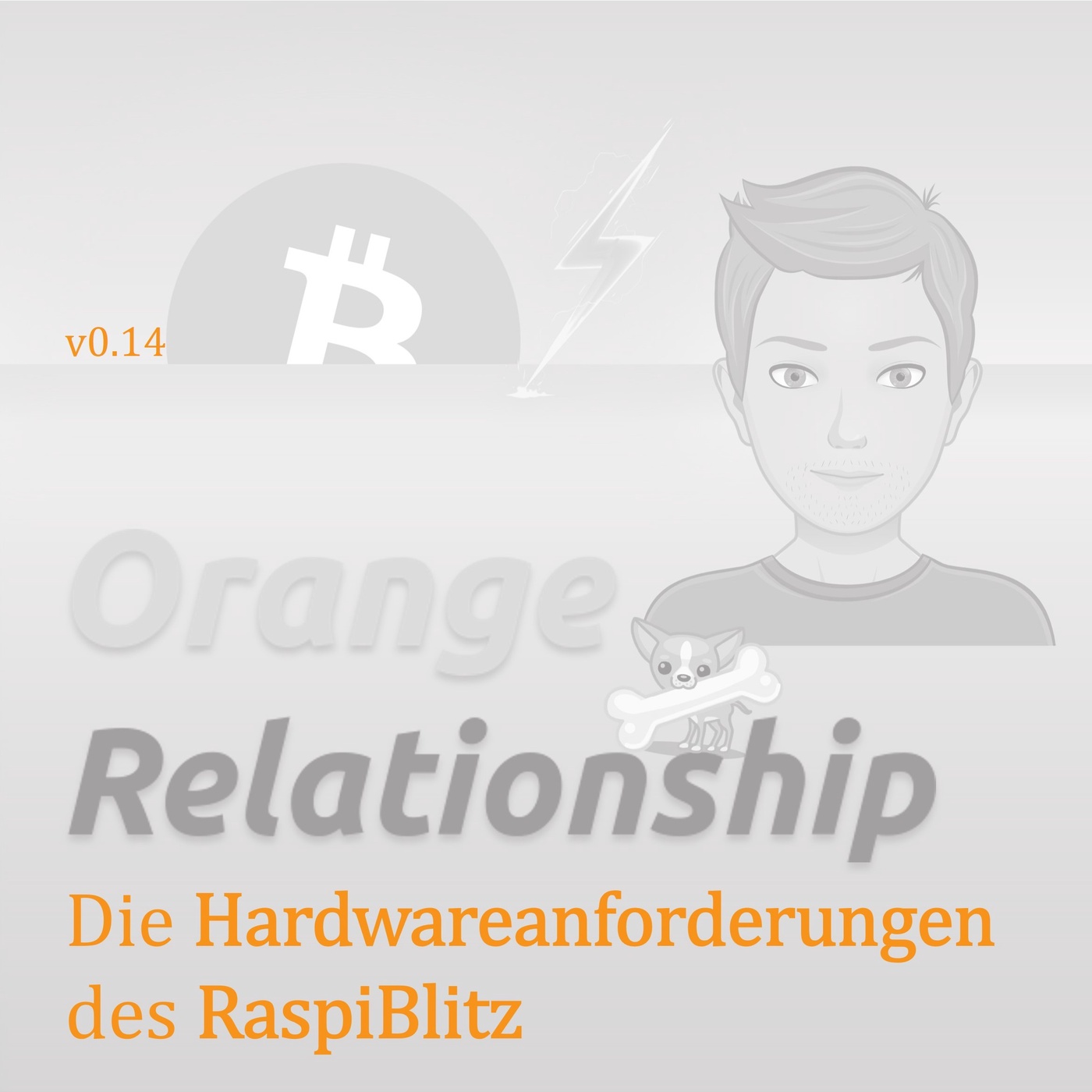 Die Hardwareanforderungen des RaspiBlitz (v0.14)