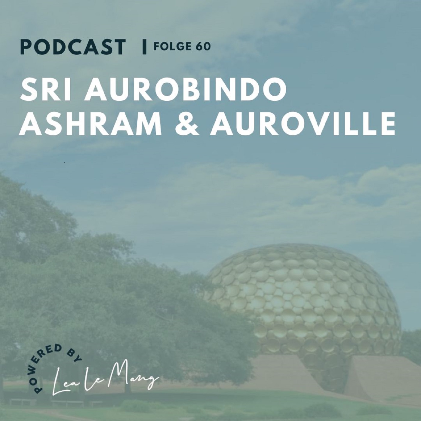 60 - Sri Aurobindo Ashram und Auroville