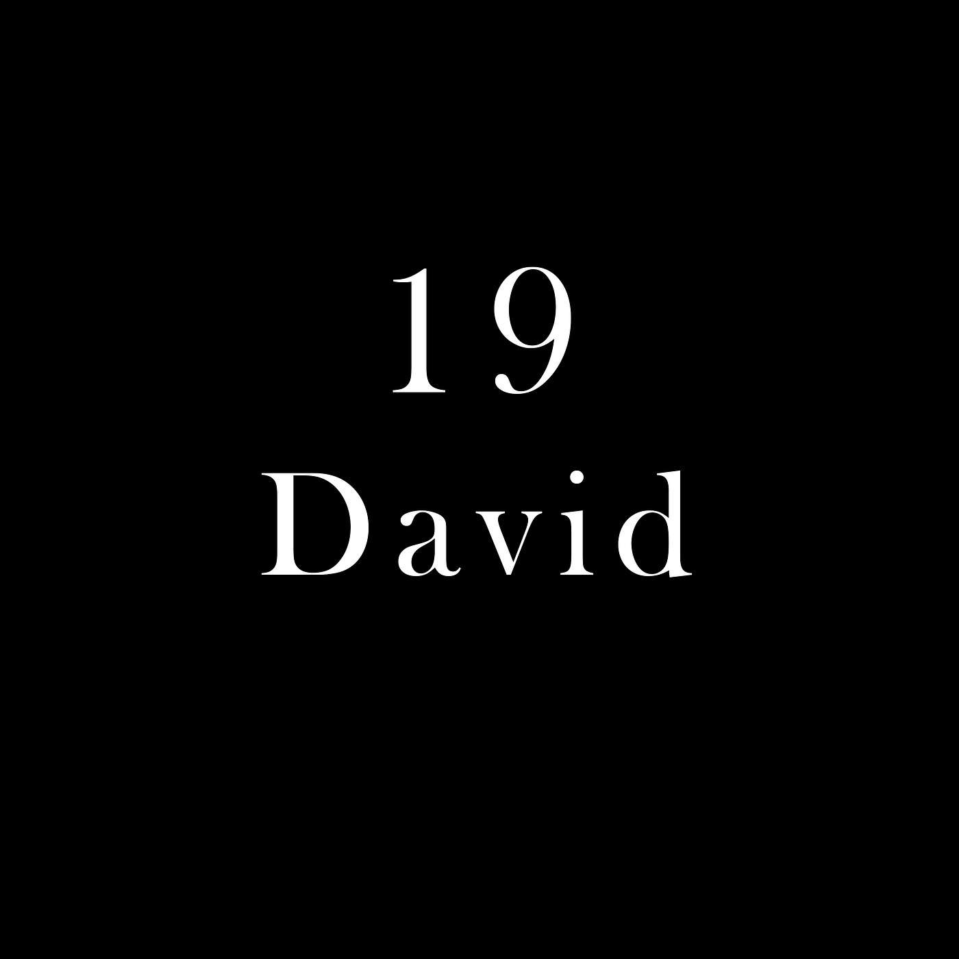 19 - David | Salzburg