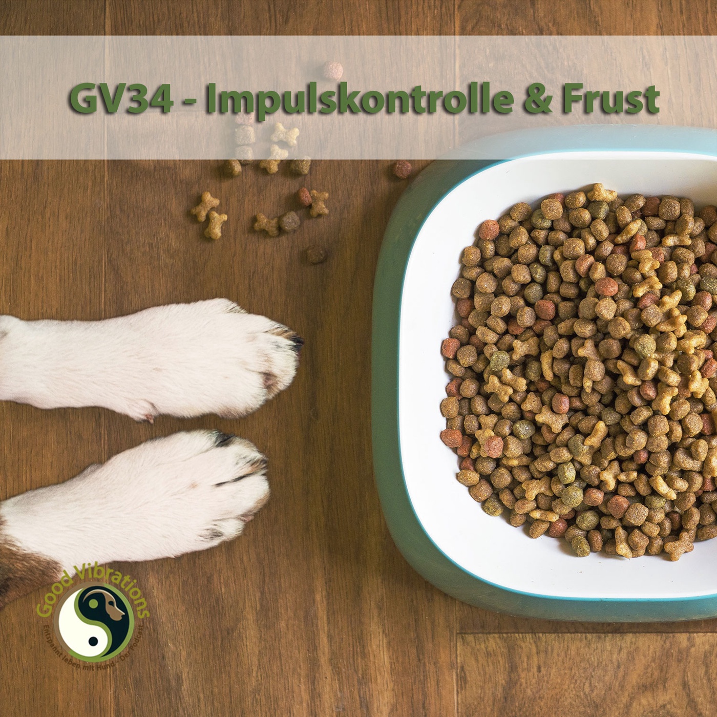 GV 34_Frustrationstoleranz - Impulskontrolle