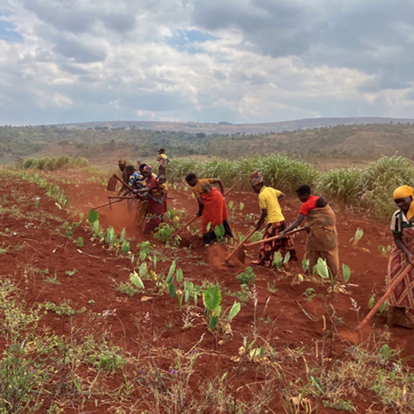 Perspektiven: Hilfe in Burundi mit Waisenhäusern und im landwirtschaftlichen Bereich