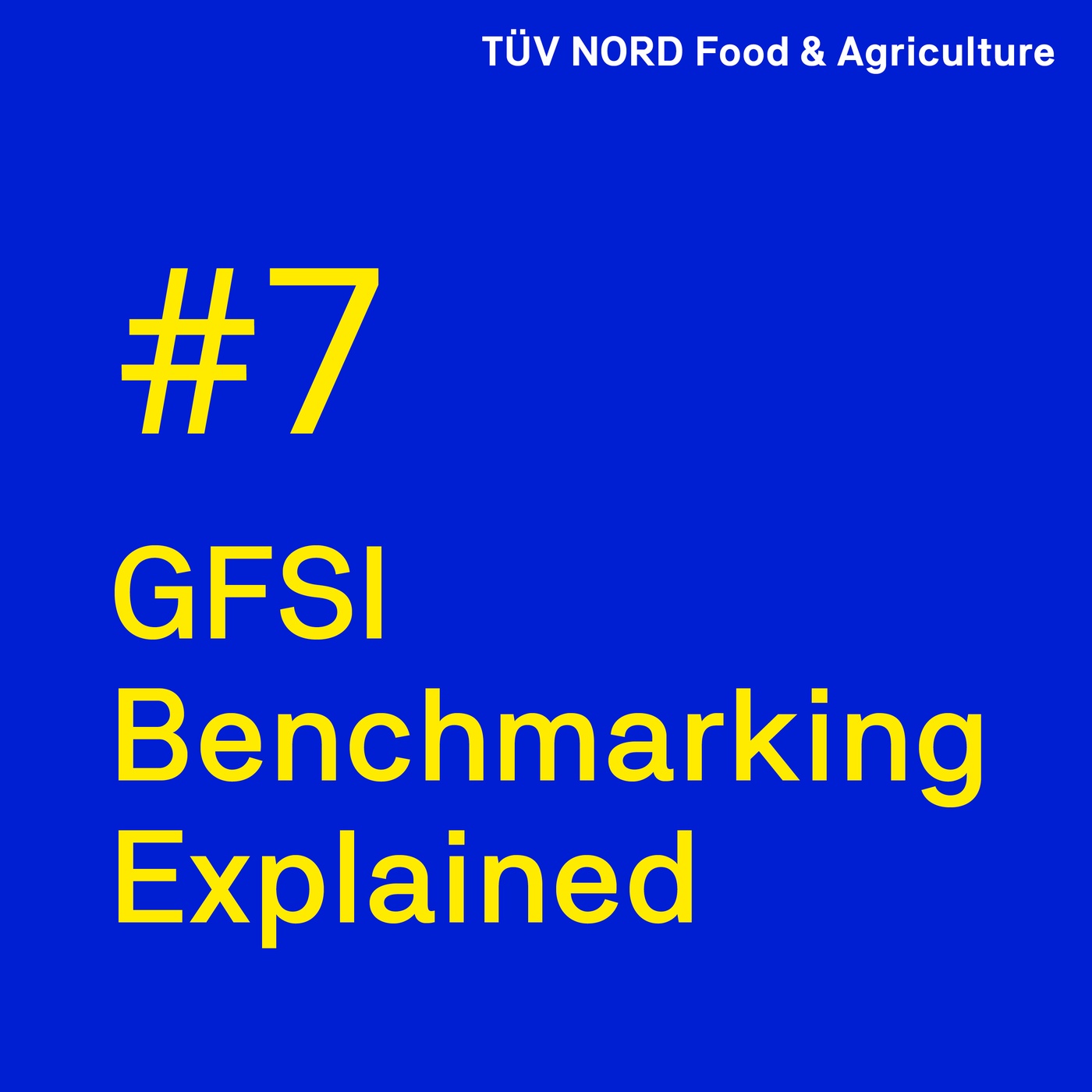 GFSI Benchmarking Explained – English